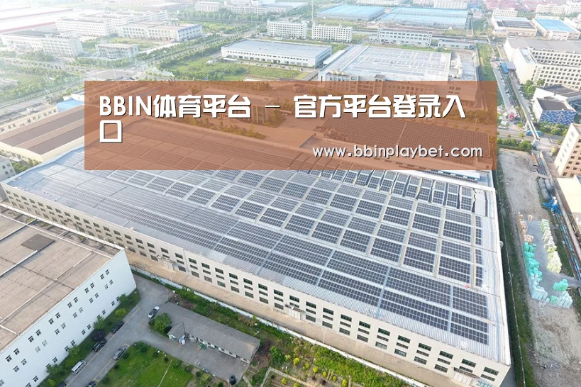 案例展示二