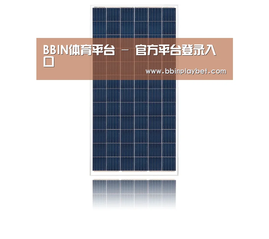 产品名称一