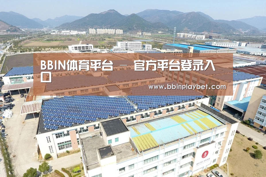 案例展示三